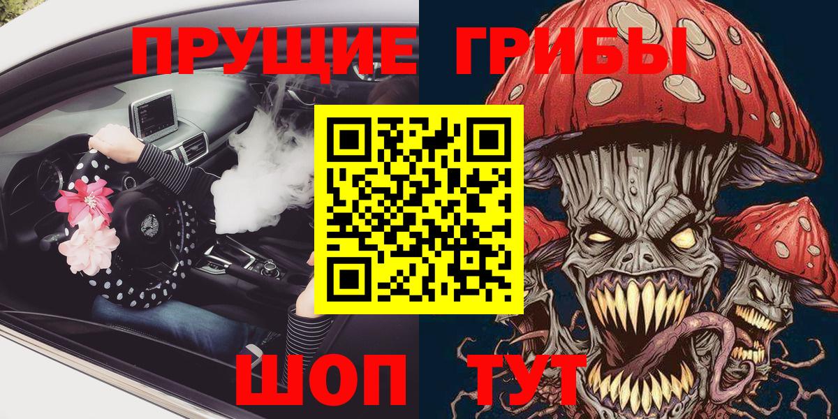 Галлюциногенные грибы Psilocybe Черняховск